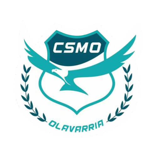 Municipales (Olavarría)